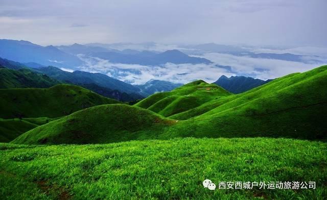 男性不育，生殖道支原体感染也是一大重要原因！
